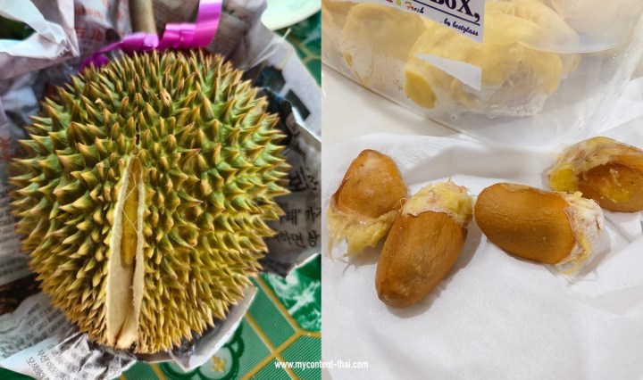 วิธีเพาะเมล็ดทุเรียน ปลูกไว้กินเองที่บ้าน ทำยังไง