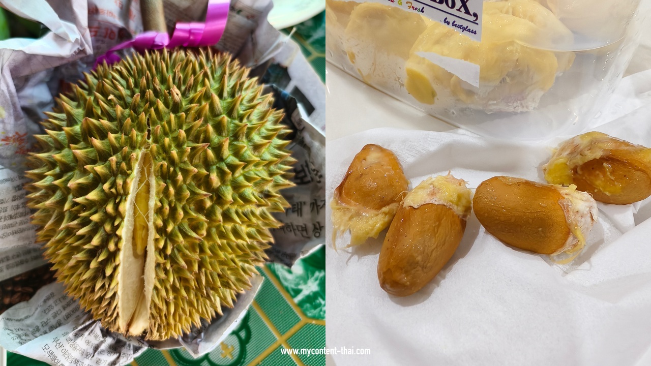 วิธีเพาะเมล็ดทุเรียน ปลูกไว้กินเองที่บ้าน ทำยังไง