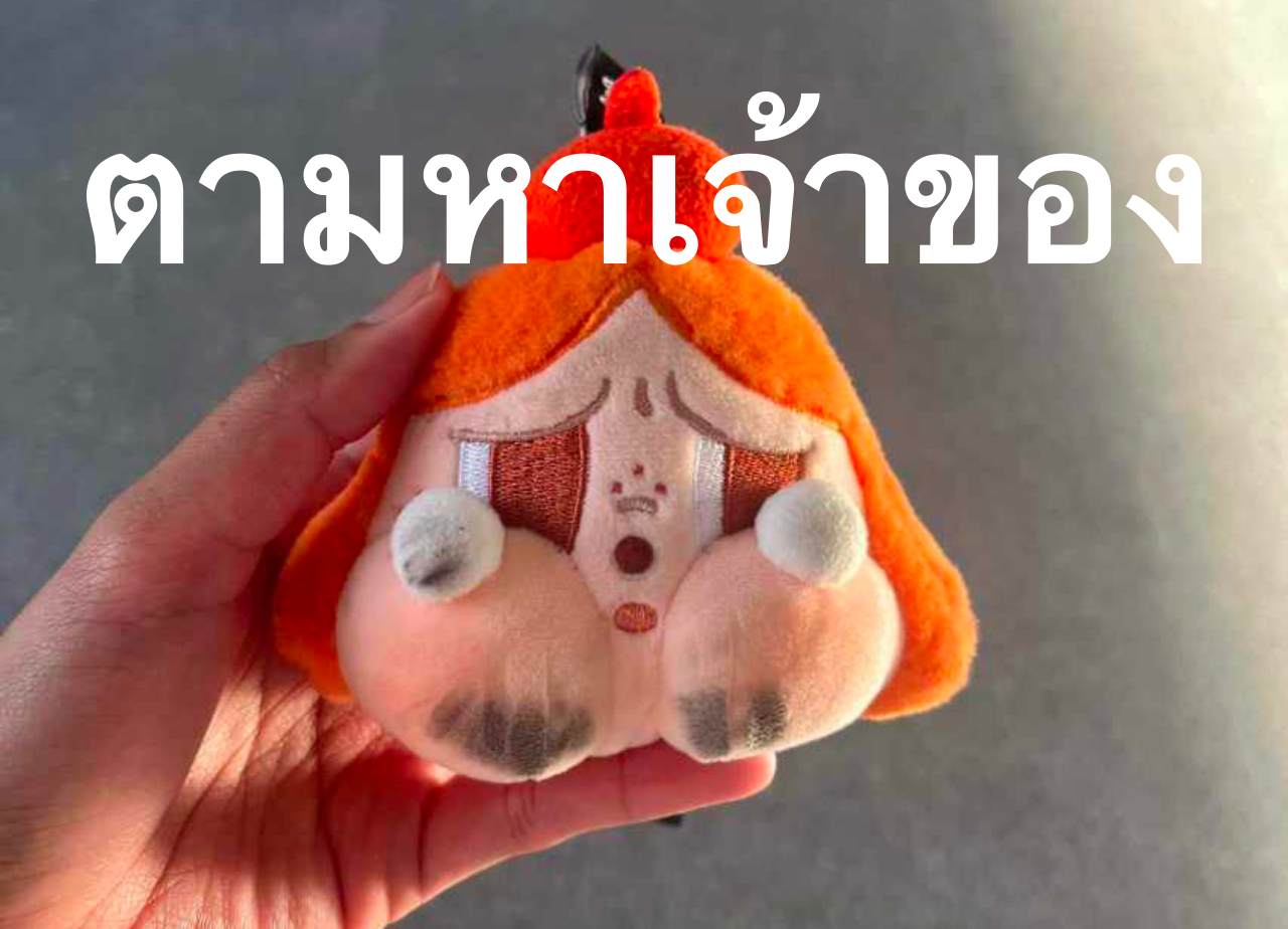 ตามหาเจ้าของ CRYBABY หัวสีส้ม หล่น BTS เซนต์หลุยส์