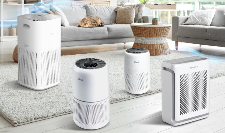 รู้จักเครื่องฟอกอากาศ Levoit 5 รุ่น 2025 สำหรับทาสหมาทาสแมว