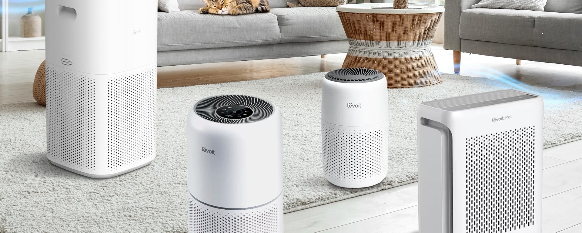 รู้จักเครื่องฟอกอากาศ Levoit 5 รุ่น 2025 สำหรับทาสหมาทาสแมว