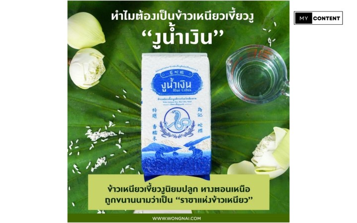 ข้าวเหนียวเขี้ยวงู ยี่ห้อไหนดี 2025 : ข้าวเหนียวเขี้ยวงู ตรางูน้ำเงิน