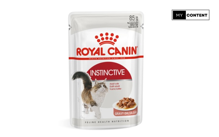 อาหารเปียกแมวยี่ห้อไหนดี : Royal Canin