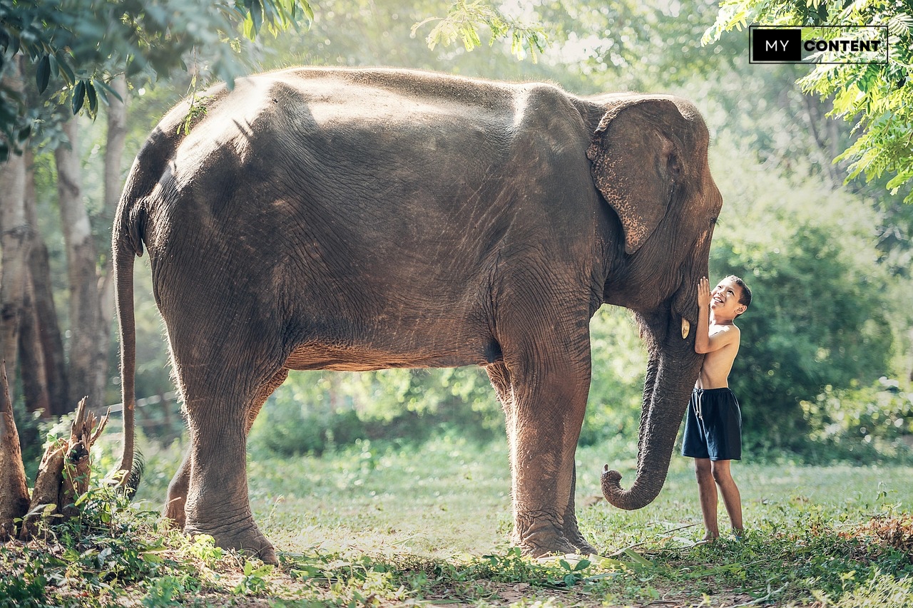 คำขวัญ 77 จังหวัดในประเทศไทย (อัปเดตล่าสุด 2025)