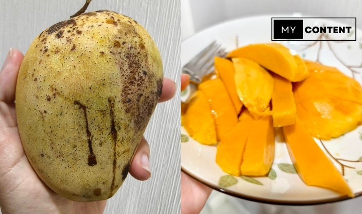 รู้จัก "มะม่วงยายกล่ำ" สายพันธุ์ดีประจำเมืองนนท์ มีที่มาอย่างไร