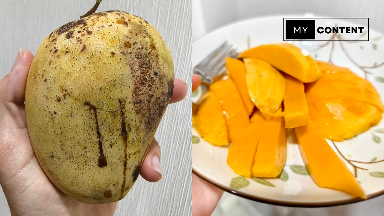 รู้จัก "มะม่วงยายกล่ำ" สายพันธุ์ดีประจำเมืองนนท์ มีที่มาอย่างไร