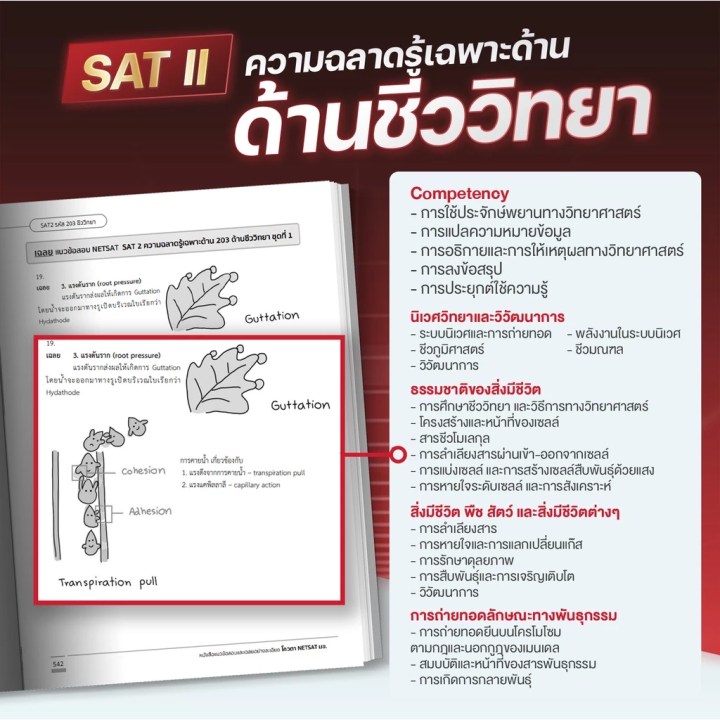 หนังสือเตรียมสอบ NETSAT มข. ครบทั้ง SAT I และ SAT II พร้อมคอร์สติว 21 ชั่วโมง