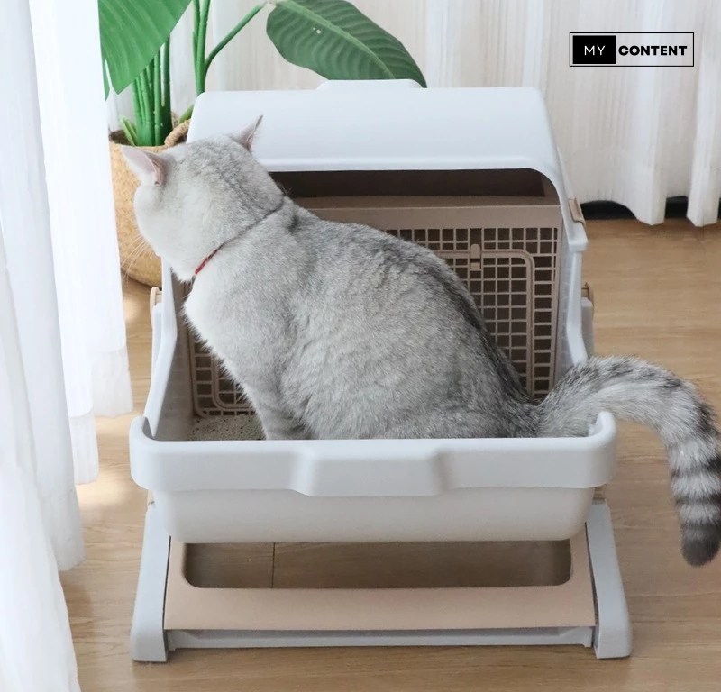 ห้องน้ำแมวกึ่งอัตโนมัติ 2025 ยี่ห้อไหนดี? ใช้งานง่าย ราคาน่ารัก!