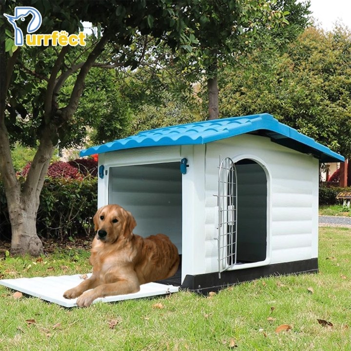 บ้านสัตว์เลี้ยง หมาแมว ยี่ห้อไหนดี 2025? รวม 10 รุ่นบ้านสัตว์น่ารัก แข็งแรง ราคาดี!