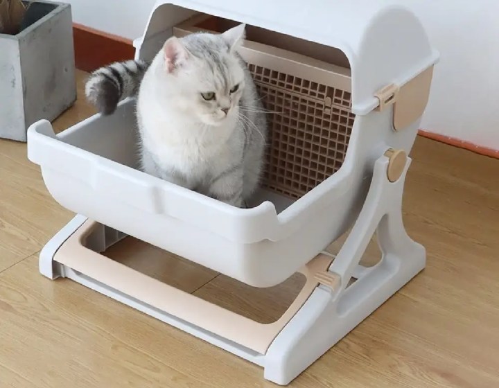 ห้องน้ำแมวกึ่งอัตโนมัติ 2025 ยี่ห้อไหนดี? ใช้งานง่าย ราคาน่ารัก!