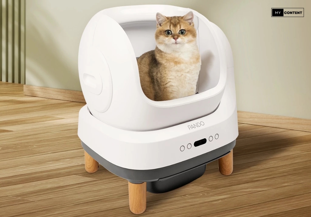 ห้องน้ำแมวอัตโนมัติ ยี่ห้อไหนดี 2025 สะอาด อัจฉริยะ แมวรัก คนเลี้ยงยิ้ม