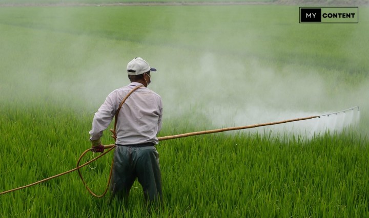 เครื่องพ่นยา พ่นปุ๋ย ยี่ห้อไหนดี 2025