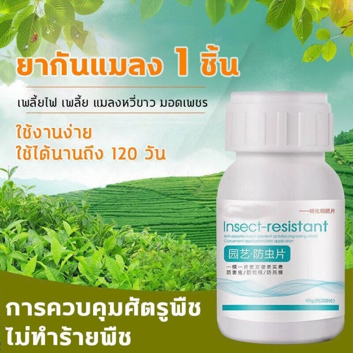 ยาเชื้อราในพืช 40g (200 เม็ด) – กำจัดเพลี้ย ศัตรูพืช ฆ่าแมลงโดยเฉพาะ