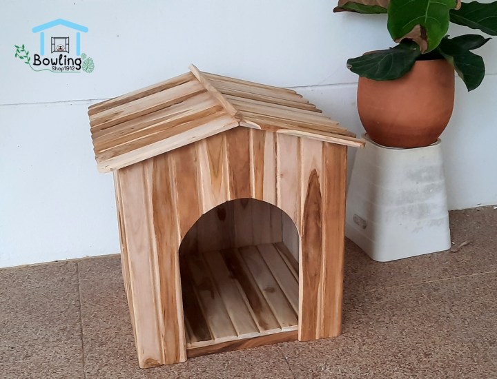 บ้านสัตว์เลี้ยง หมาแมว ยี่ห้อไหนดี 2025? รวม 10 รุ่นบ้านสัตว์น่ารัก แข็งแรง ราคาดี!