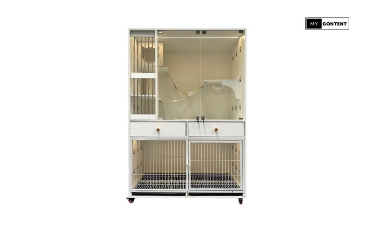 บ้านแมว วิลล่าแมว คอนโดแมว สำหรับแต่งบ้าน พร้อมใช้งานจริง ยี่ห้อไหนดี 2025