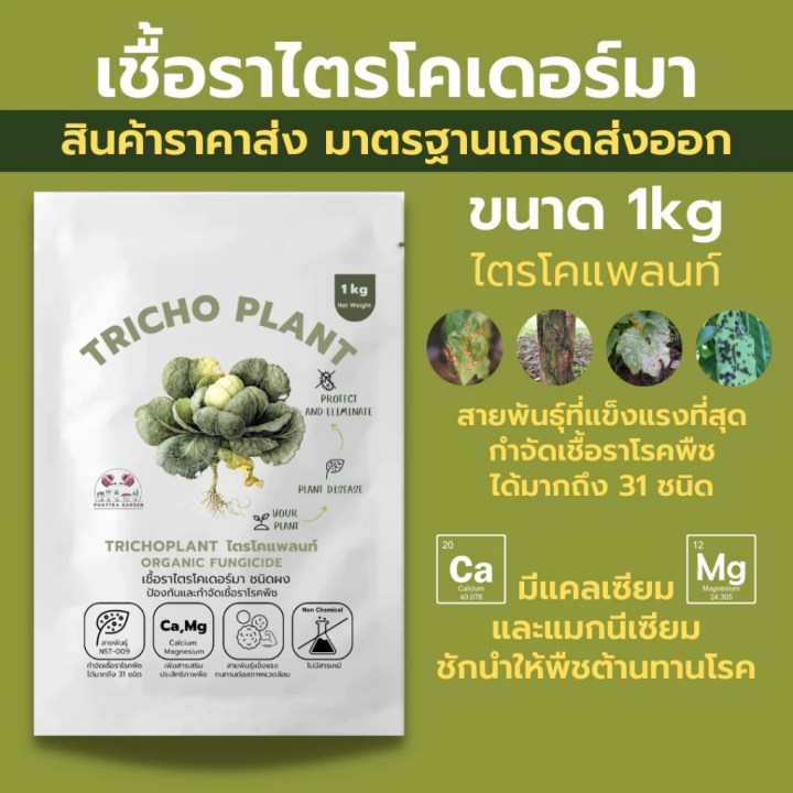 ไตรโคเดอร์มา 1kg ราคาส่ง (ชนิดผง)