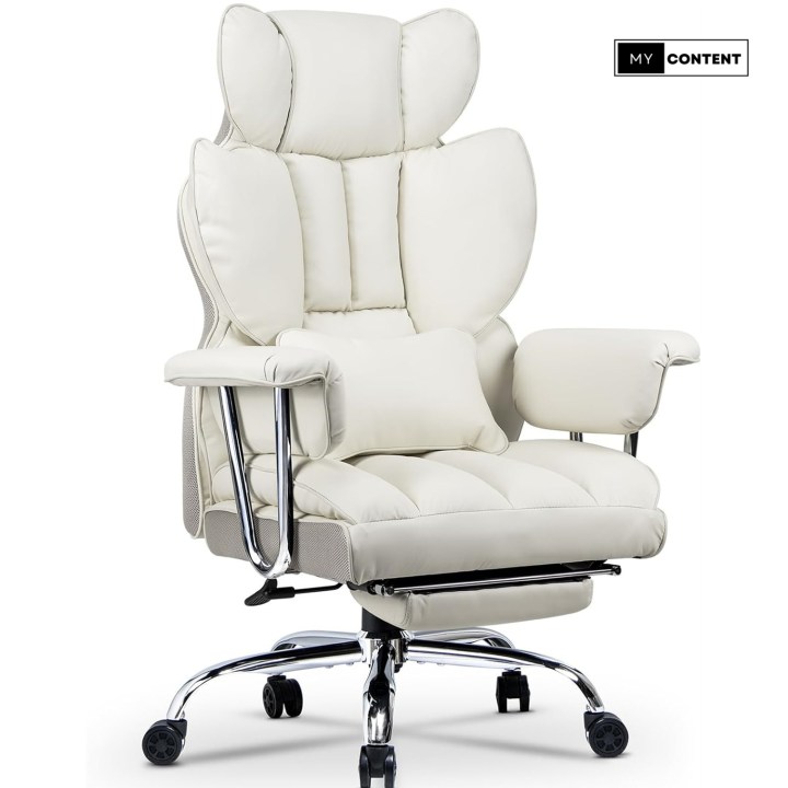 LVNI Ergonomic Office Chair