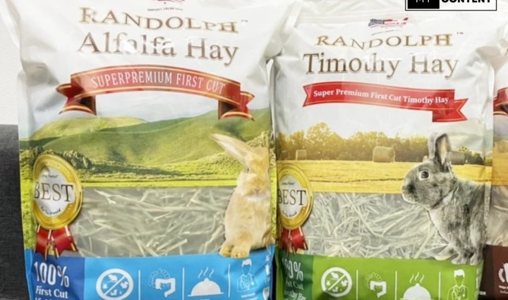 หญ้าอัลฟัลฟ่าคืออะไร เหมาะกับกระต่ายวัยไหน