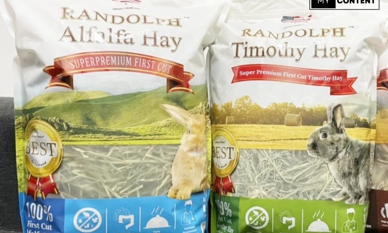 หญ้าอัลฟัลฟ่าคืออะไร เหมาะกับกระต่ายวัยไหน