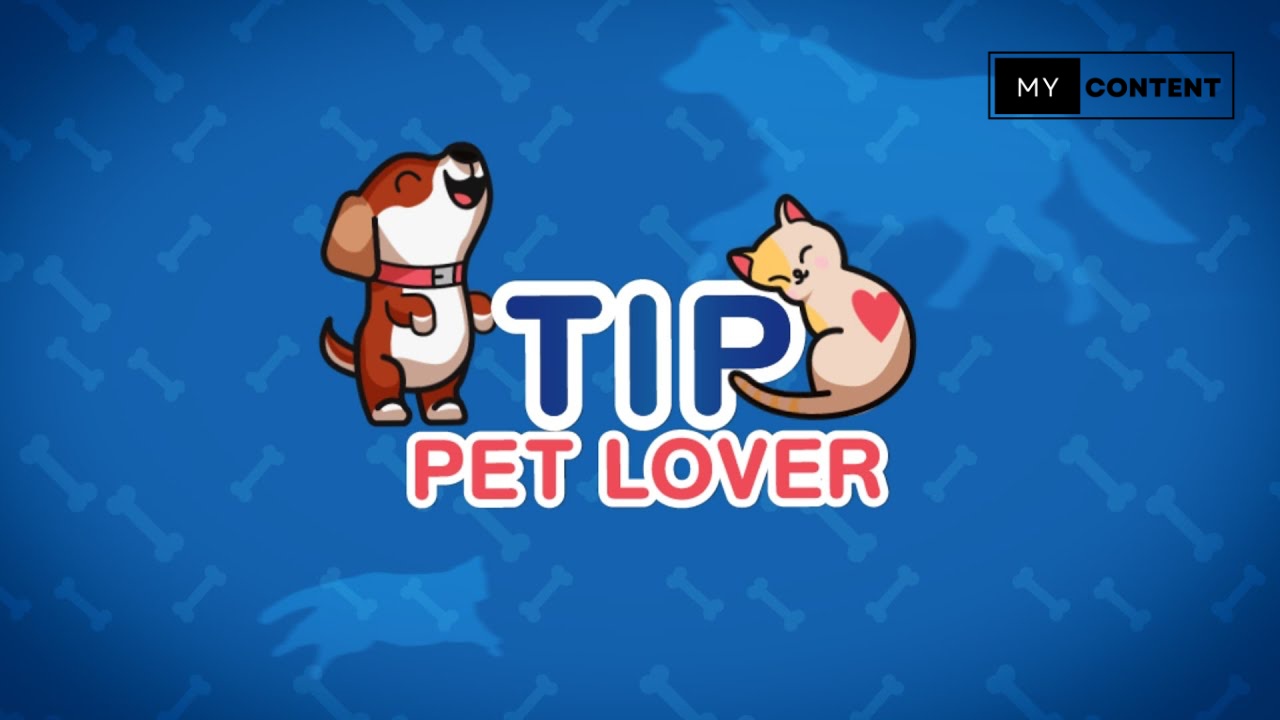 ประกันสัตว์เลี้ยง ทิพยประกันภัย (TIP Pet Lover) คุ้มครองอะไรบ้าง?