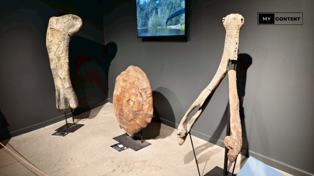 ไปดูไดโนเสาร์ของไทยในงาน THAINOSAUR @ Museum Pier ท่าช้าง!