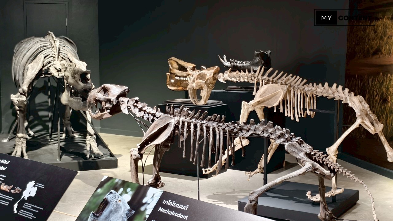 ไปดูไดโนเสาร์ของไทยในงาน THAINOSAUR @ Museum Pier ท่าช้าง!