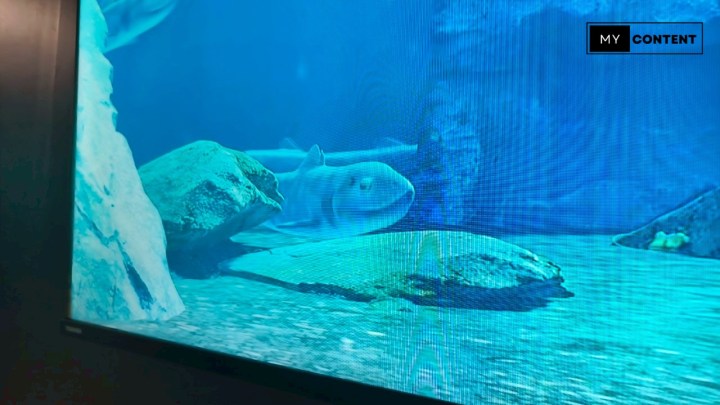 ไปดูไดโนเสาร์ของไทยในงาน THAINOSAUR @ Museum Pier ท่าช้าง!