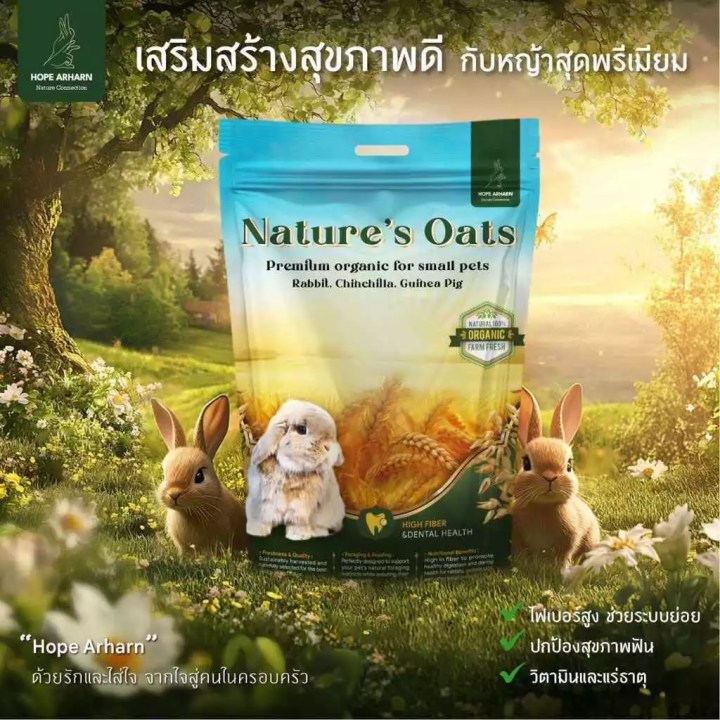 หญ้าโอ๊ต (Oat Hay) ดีไหม เหมาะกับกระต่ายทุกวัยไหม