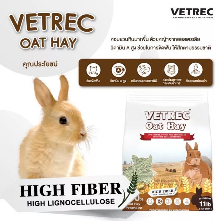 หญ้าโอ๊ต (Oat Hay) ดีไหม เหมาะกับกระต่ายทุกวัยไหม