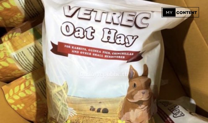 หญ้าโอ๊ต (Oat Hay) ดีไหม เหมาะกับกระต่ายทุกวัยไหม