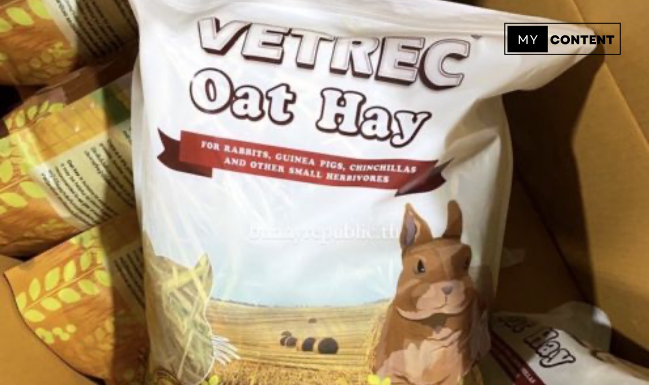 หญ้าโอ๊ต (Oat Hay) ดีไหม เหมาะกับกระต่ายทุกวัยไหม