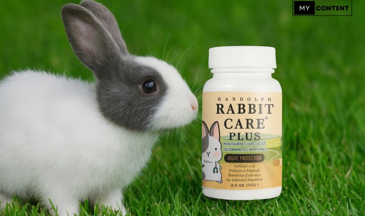 รู้จักอาหารเสริมกระต่าย "CatHoliday" ป่วยไม่ป่วยก็กินได้