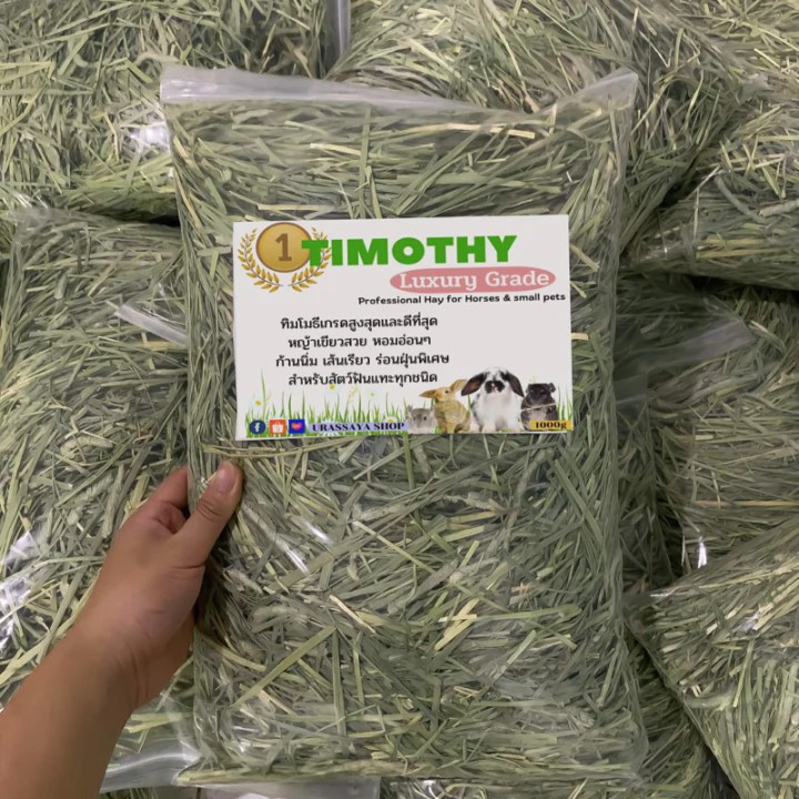 หญ้าธิโมที ยี่ห้อไหนดี 2025