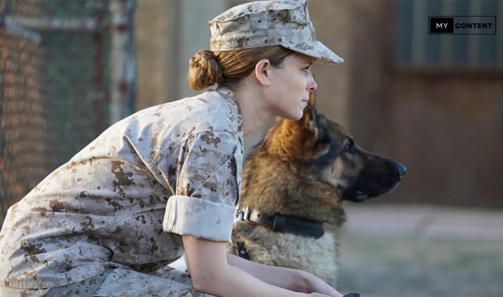 10 หนังเกี่ยวกับสุนัขสงคราม (War Dog Movies) บน Netflix พากย์ไทย