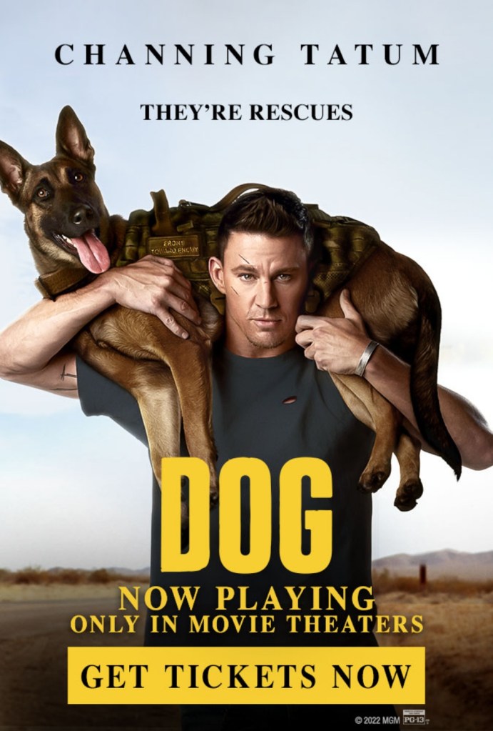 หนังเกี่ยวกับสุนัขสงคราม เรื่อง Dog (2022, Channing Tatum)