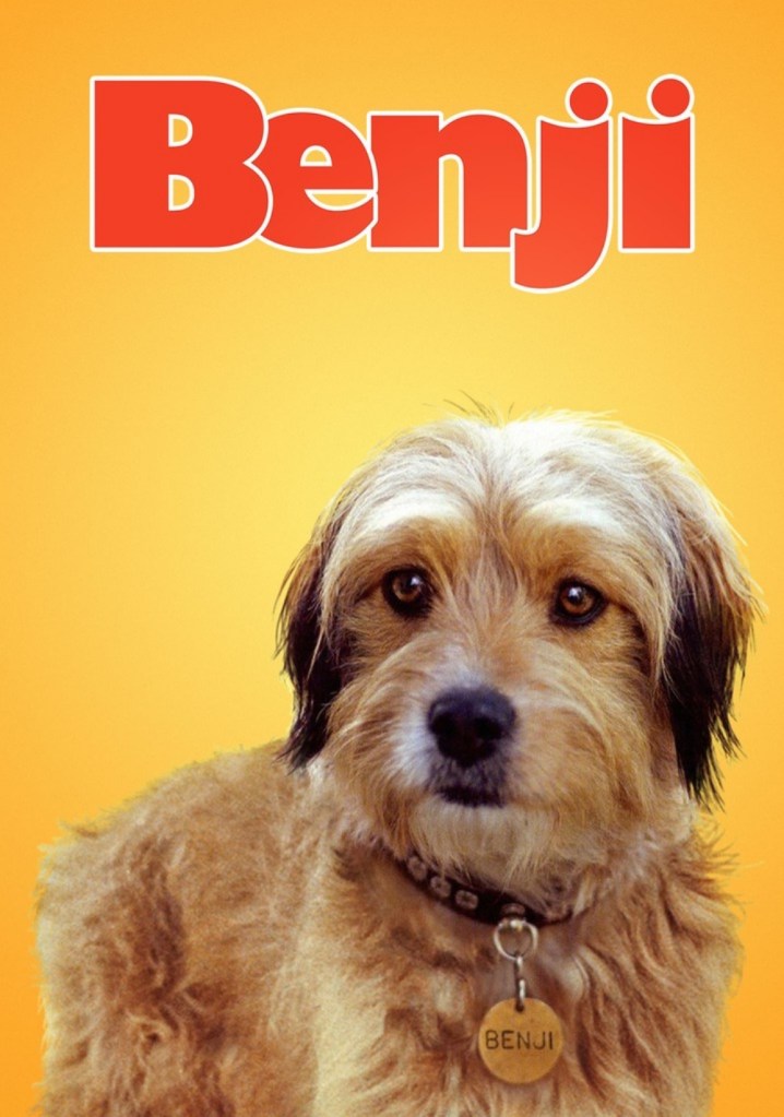 หนังเกี่ยวกับสุนัขผจญภัยแสนรู้ Benji (2018)