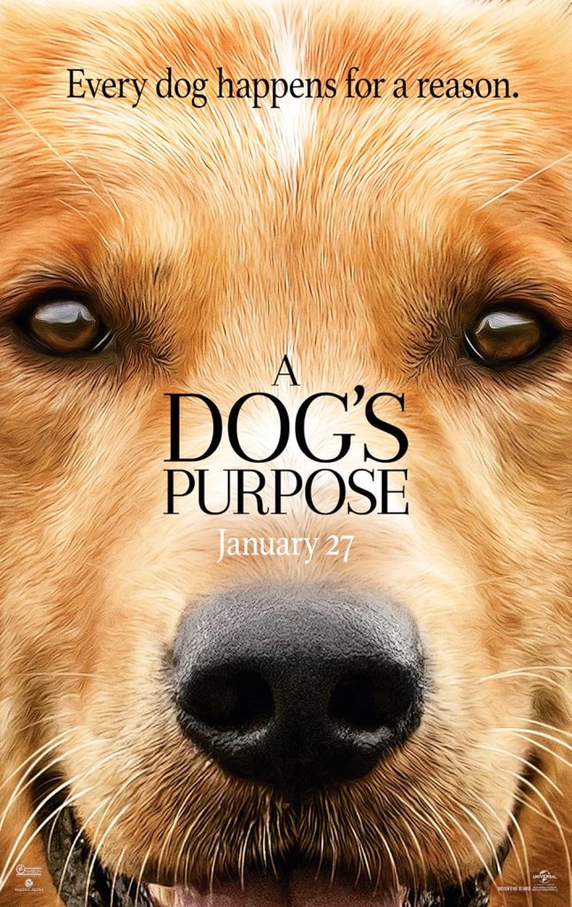 หนังเกี่ยวกับสุนัขผจญภัยแสนรู้ A Dog’s Purpose (2017)