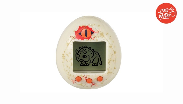 วิธีเก็บทามากอต