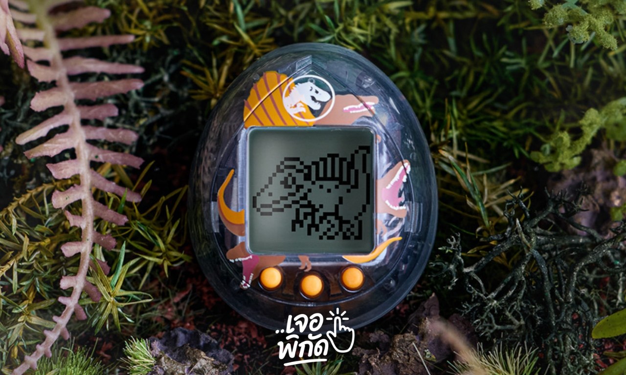 เก็บทามากอต (Tamagotchi) ที่ไม่ได้เล่นแล้วยังไงไม่ให้เครื่องเสีย?