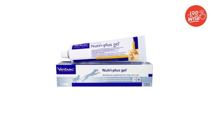 วิตามินและอาหารเสริมแมว ยี่ห้อ Nutri-Plus Gel