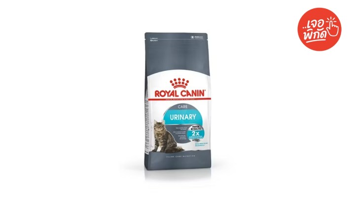วิตามินและอาหารเสริมแมว ยี่ห้อ Royal Canin Urinary Care