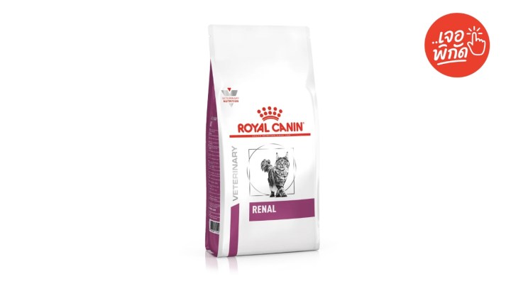 อาหารแมวเป็นโรคไต ยี่ห้อ Royal Canin Renal