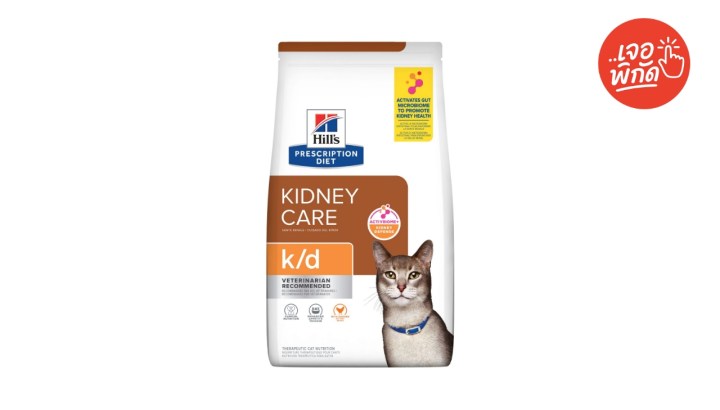 อาหารแมวเป็นโรคไต ยี่ห้อ Hill's Prescription Diet k/d