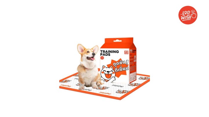 แผ่นรองฉี่สุนัข Yoyopet (Pet Pad)