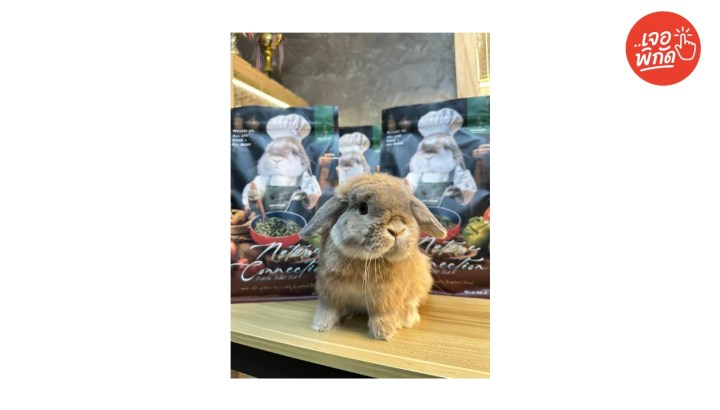 อาหารกระต่าย ยี่ห้อ Hope Arharn Natureconnection