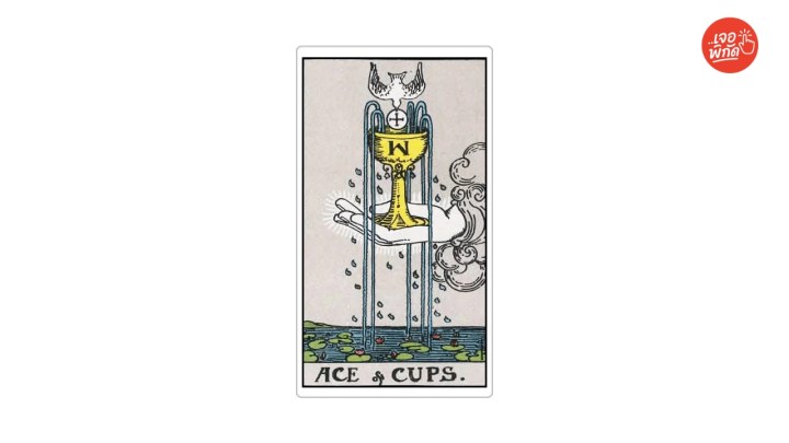 ไพ่ที่มีความหมาย "ความรัก" : Ace of Cups (1 ถ้วย)
