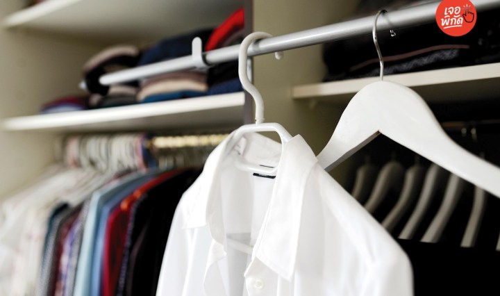 20 เสื้อสีสุภาพ มีสีอะไรบ้าง ใช้ติดต่อราชการ