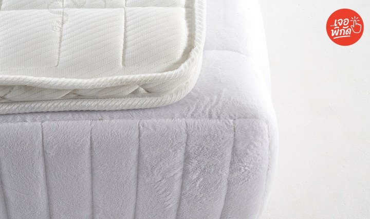 10 ที่นอนยางพารา 3.5 ฟุต ยี่ห้อไหนดี 2025 หลับสบายแก้ปวดหลัง!