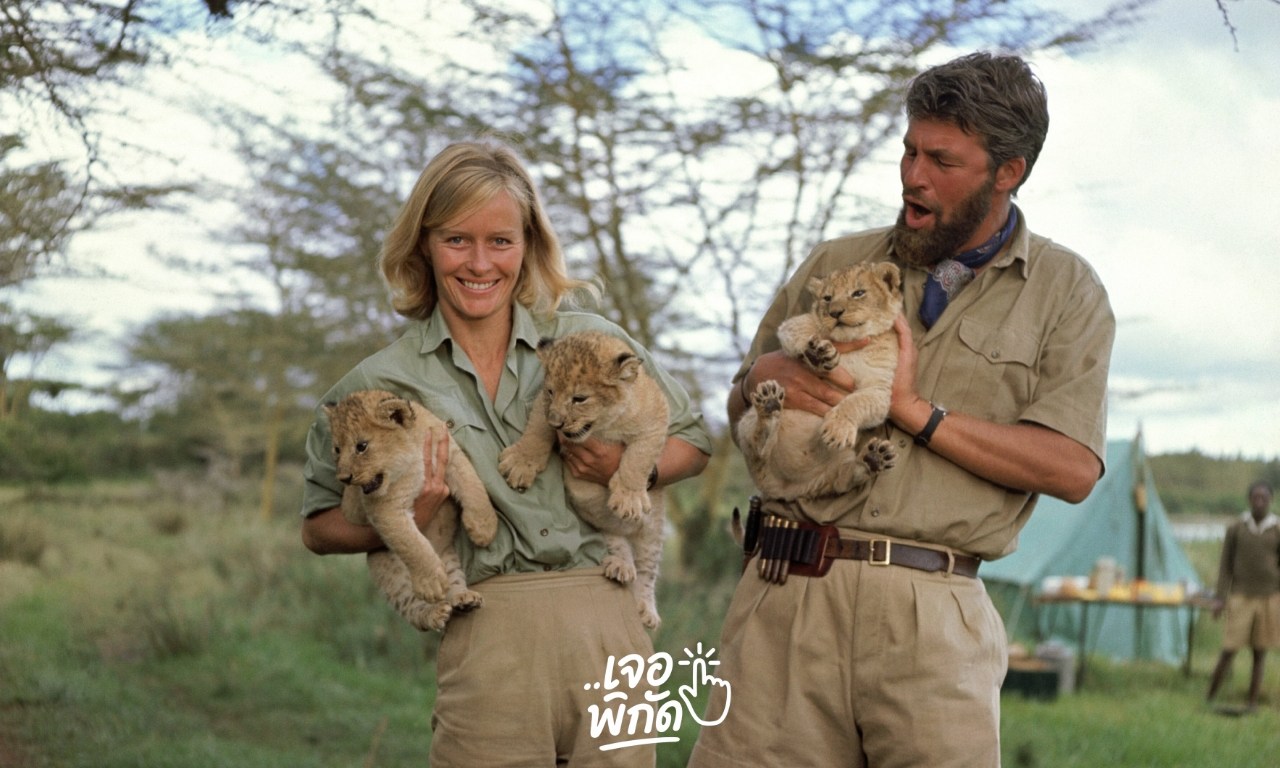 10 หนังเกี่ยวกับสิงโต ทั้งคนแสดงและ Live Animation ที่สนุก น่าติดตาม