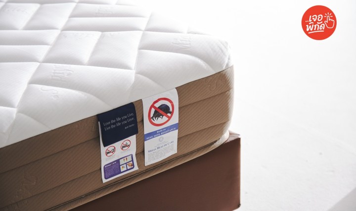 10 ที่นอนยางพารา 6 ฟุต ตัวจบอาการปวดหลัง